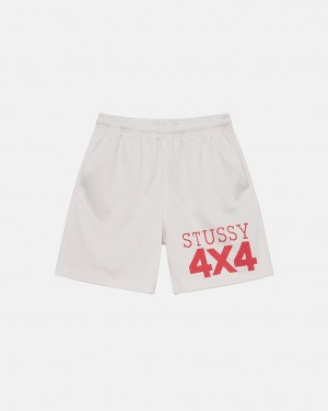 Stussy 4X4 Mesh Kort Shorts Dame Beige Norge | VLG-4239