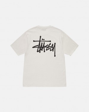 Stussy Basic Stüssy Tee T Skjorte Dame Beige Norge | XUM-8527