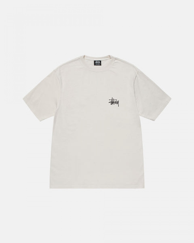 Stussy Basic Stüssy Tee T Skjorte Dame Beige Norge | XUM-8527