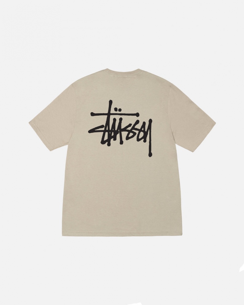 Stussy Basic Stüssy Tee T Skjorte Dame Khaki Norge | AKG-2918