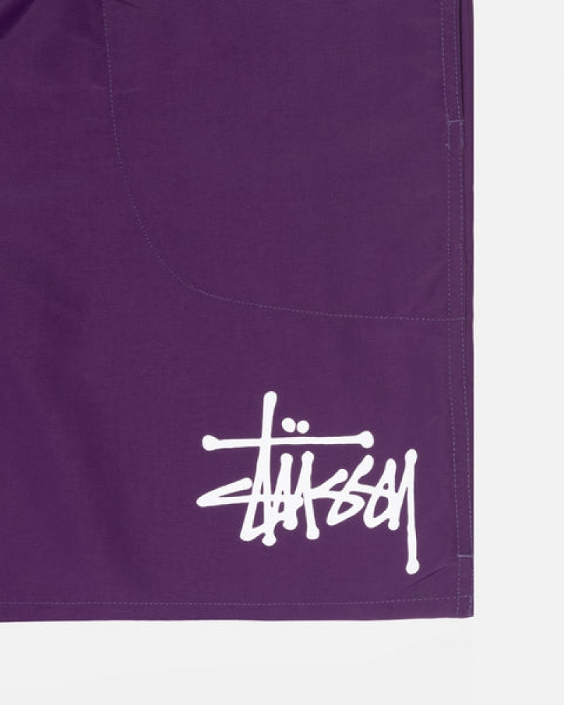 Stussy Big Basic Vann Kort Badetøy Herre Fuchsia Norge | WPH-8994