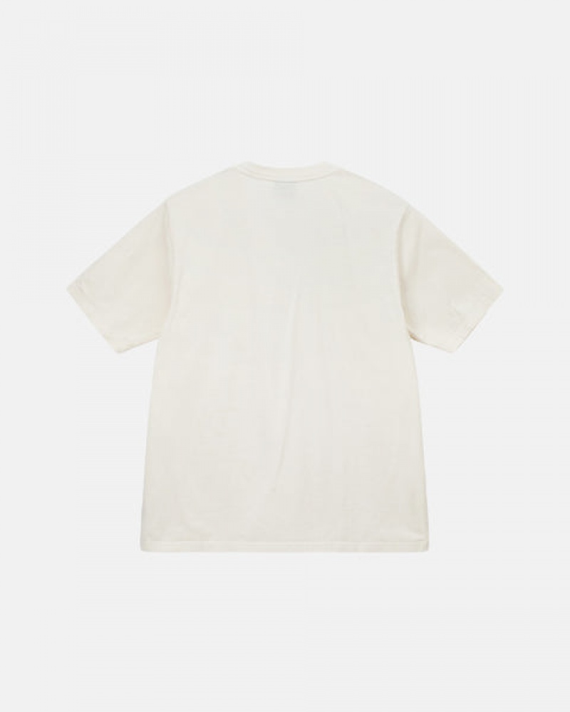 Stussy Pigment Dyed Crew T Skjorte Dame Beige Norge | CTG-0437