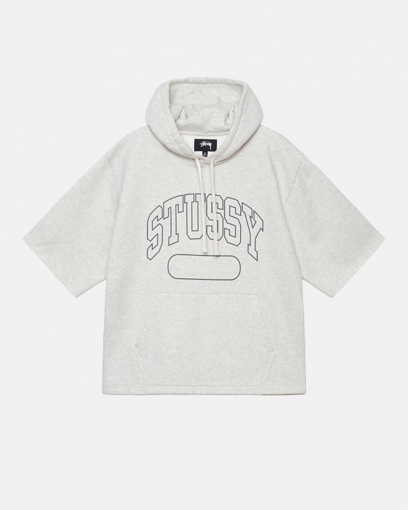 Stussy Ss Boxy Cropped Hoodie Hettegenser Herre Grå Norge | ANK-8438